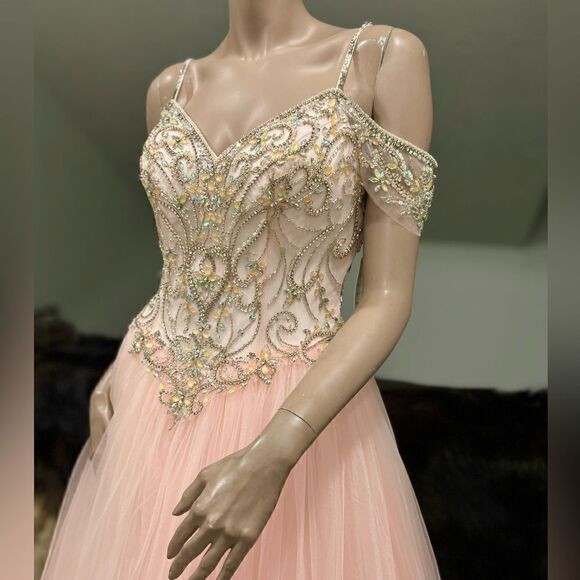 Gorgeous Blush Pink Princess Style Embellished Off-shoulder Tulle Ballgown - Picture 8 of 17